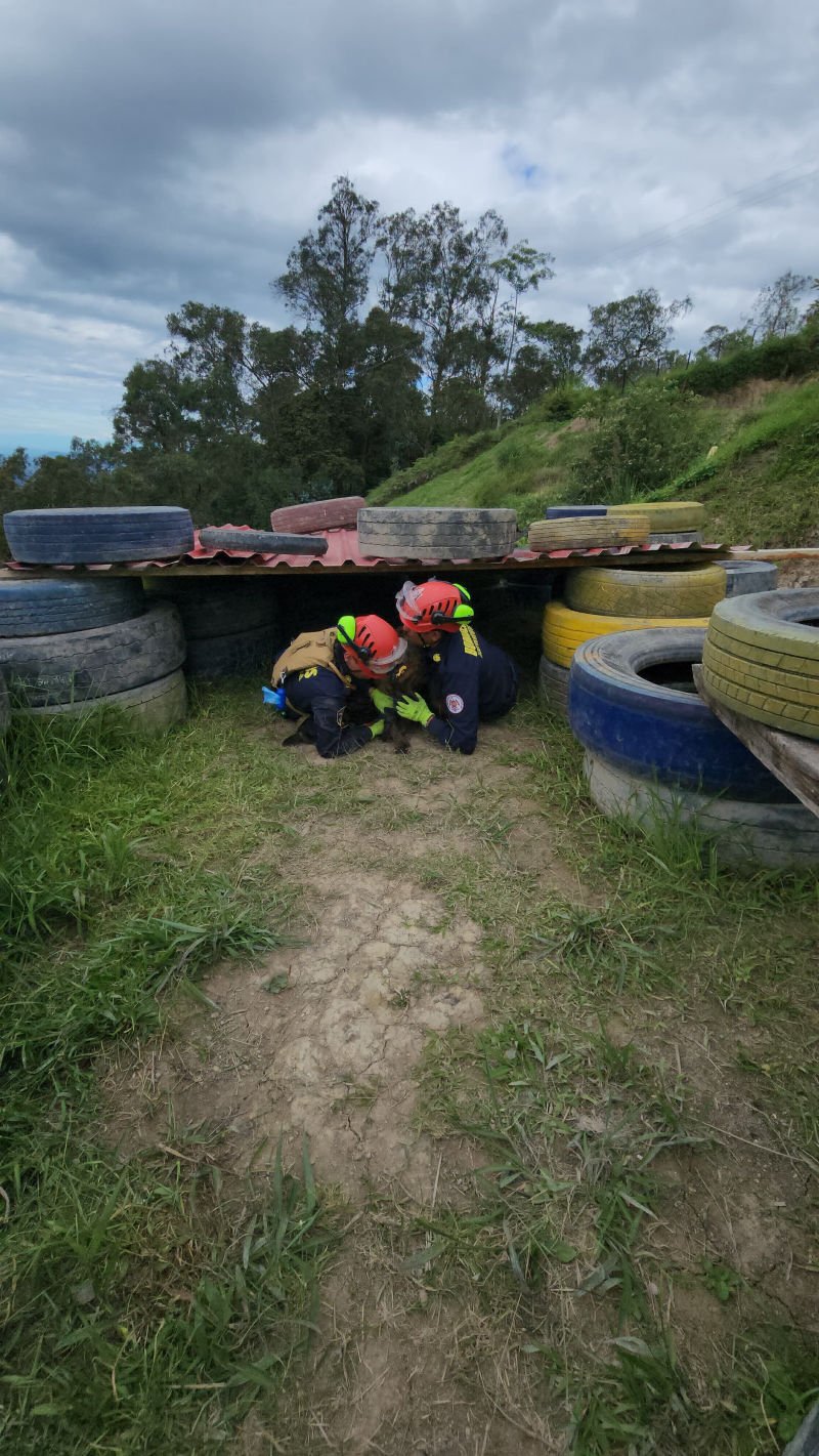 Fundación Enfermeros Militares